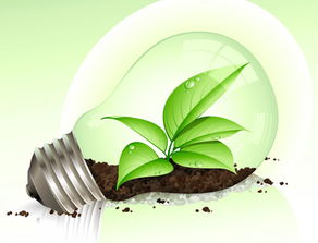 合創產業 行業資訊 推廣種植生物質能源林 保障生物質發電燃料