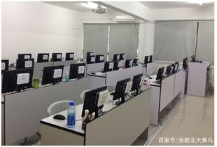 合肥計(jì)算機(jī)編程培訓(xùn)新選擇 北大青鳥協(xié)同學(xué)院深度解析